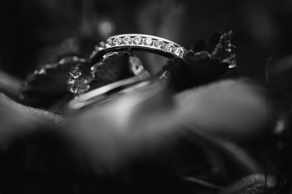 svatební prsten,prsteny,2022,snubní prsteny,zásnubní prsteny,zlatnictví, zlaté prsteny, ocelové prsteny,prsreny s kameny, diamanty, brilianty