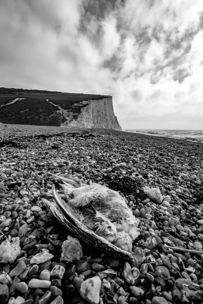 brighton, hove, sussex, united kingdom, east dean, rottingdean. seven sisters, 7sisters, street photography , landscape photography, bw, belle tout, birling gap, south down national park