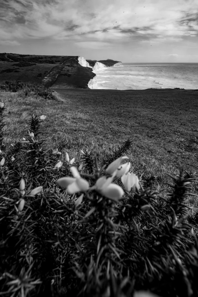 brighton, hove, sussex, united kingdom, east dean, rottingdean. seven sisters, 7sisters, street photography , landscape photography, bw