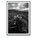 Fotoobraz Brighton Seven Sisters N121